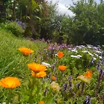 Biofuncho Garden
