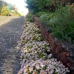 Biofuncho Garden アパート フンシャル