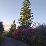 アパート Biofuncho Garden