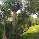 Biofuncho Garden *