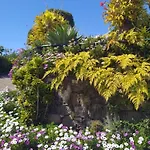 Apartamento Biofuncho Garden *