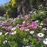 アパート Biofuncho Garden