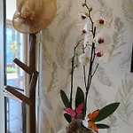 Apartamento Biofuncho Garden *