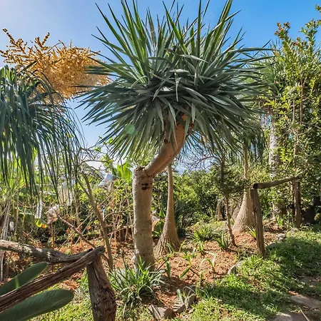 Biofuncho Garden Funchal (Madeira)