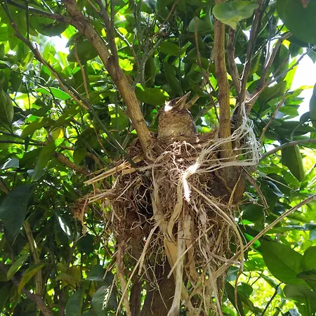 Apartamento Biofuncho Garden *