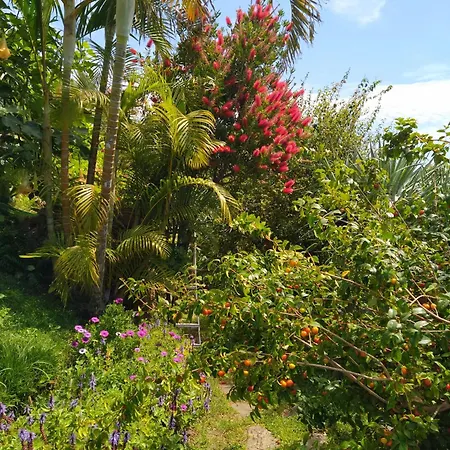 Biofuncho Garden Funchal (Madeira)