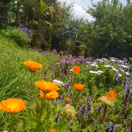 Biofuncho Garden