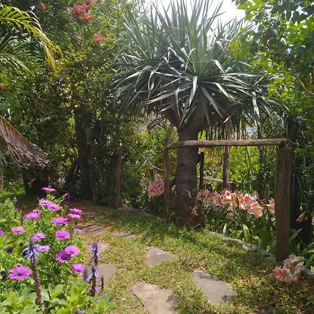 Biofuncho Garden Apartment *
