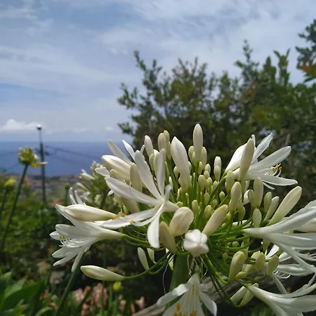 Biofuncho Garden Apartamento *