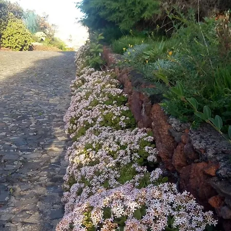 Biofuncho Garden Apartament Funchal (Madeira)