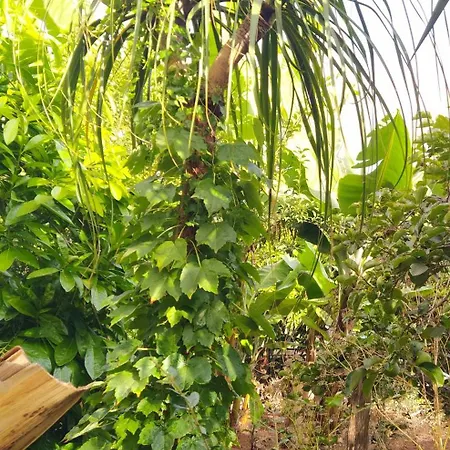 Biofuncho Garden Funchal (Madeira)