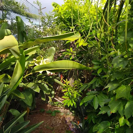 Apartamento Biofuncho Garden *