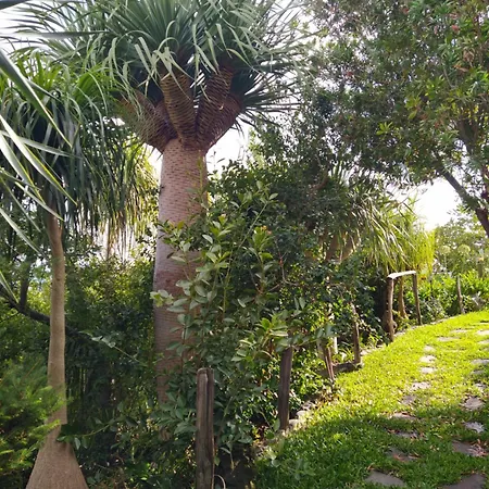 Biofuncho Garden *