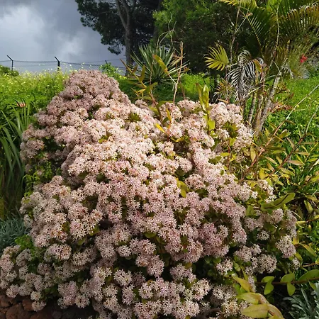 Biofuncho Garden Lägenhet