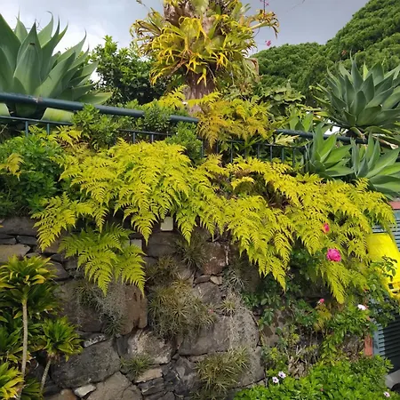 Apartamento Biofuncho Garden *