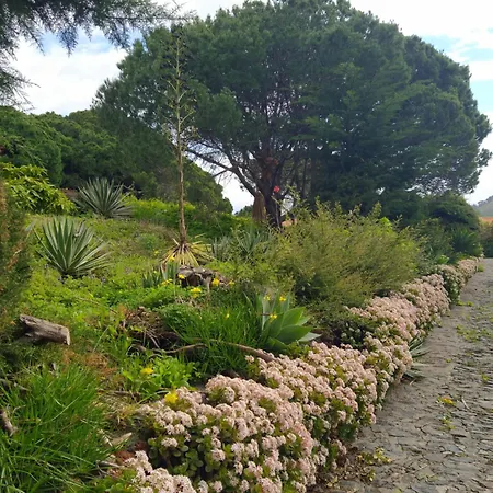 Biofuncho Garden Lejlighed *