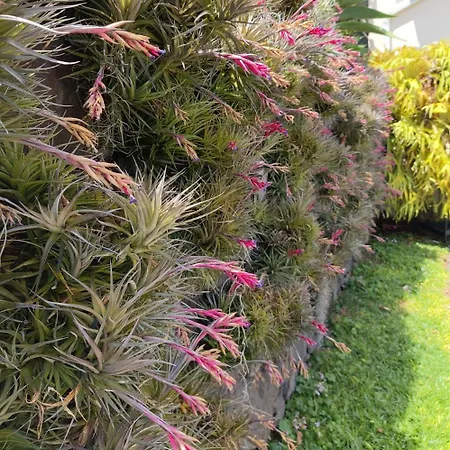 Biofuncho Garden Apartament Funchal (Madeira)