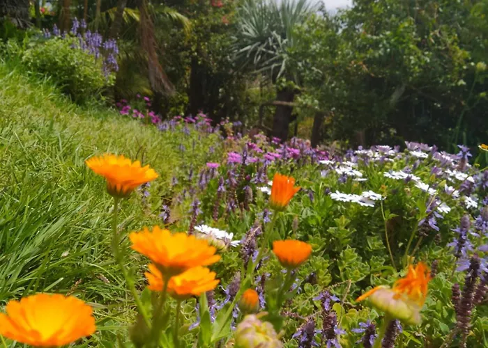Biofuncho Garden