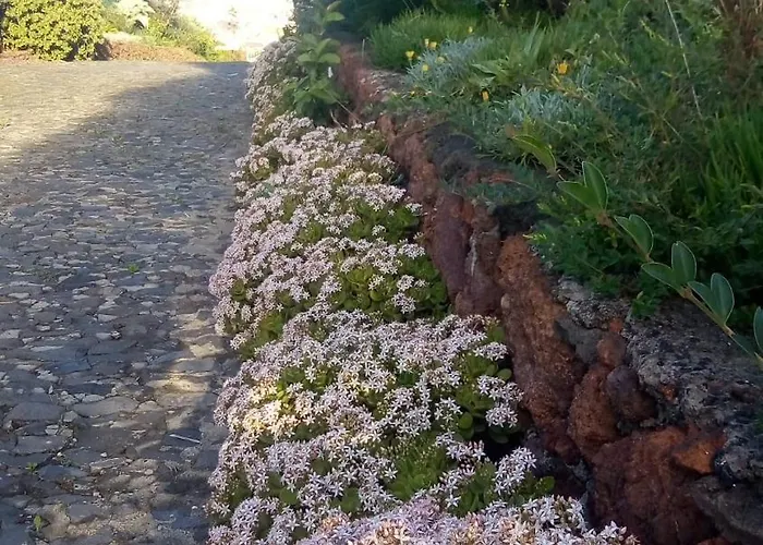 Biofuncho Garden Apartment Funchal (Madeira)
