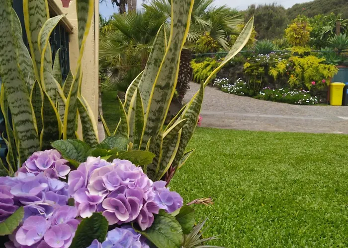 Biofuncho Garden Apartment *