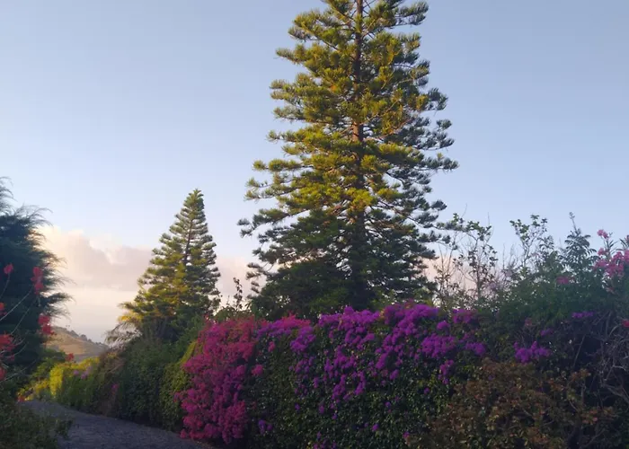 Apartment Biofuncho Garden