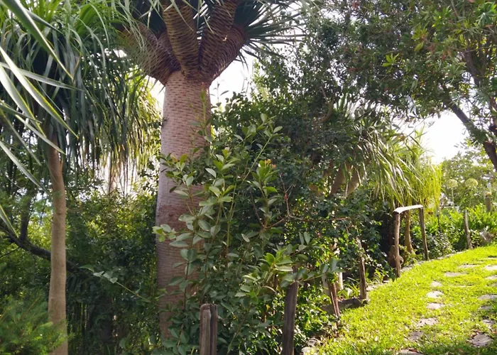 Biofuncho Garden *