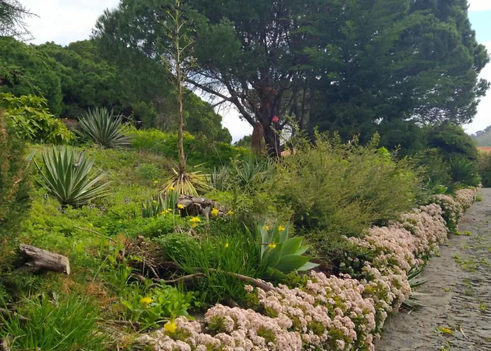 Biofuncho Garden 아파트 *