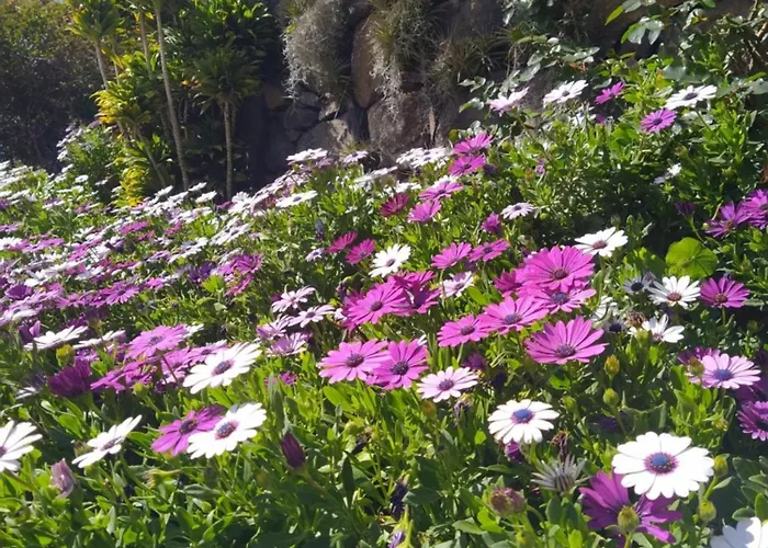 아파트 Biofuncho Garden