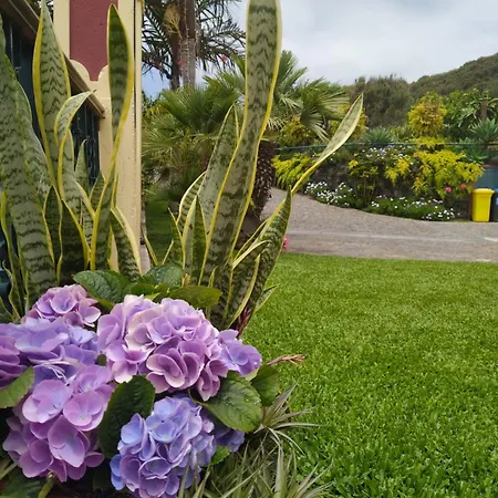 Biofuncho Garden Lägenhet *