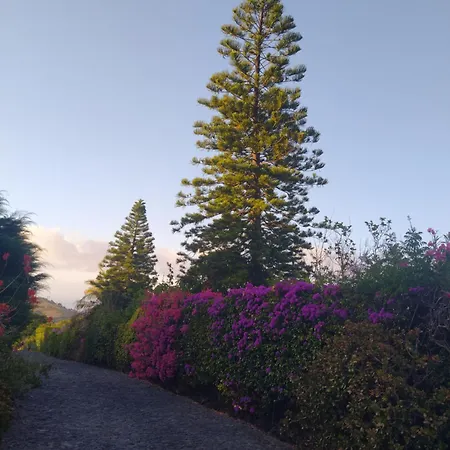 Lägenhet Biofuncho Garden