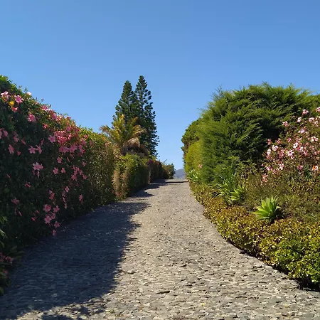 Biofuncho Garden Διαμέρισμα Φουνκάλ