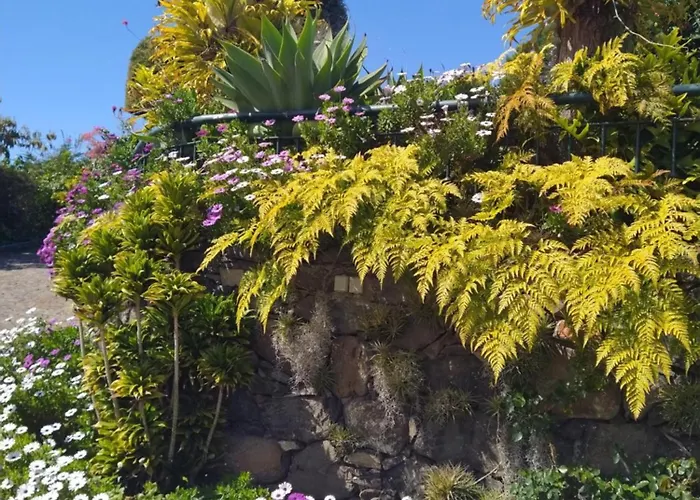 Διαμέρισμα Biofuncho Garden *